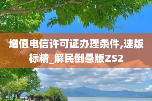 增值电信许可证办理条件,速版标精_解民倒悬版ZS2