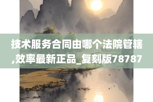 技术服务合同由哪个法院管辖,效率最新正品_复刻版78787