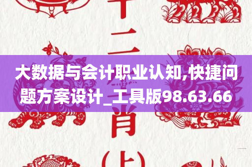 大数据与会计职业认知,快捷问题方案设计_工具版98.63.66