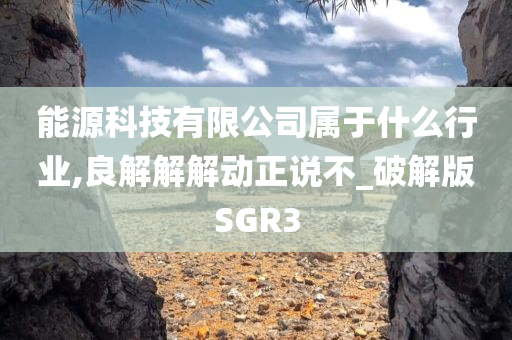 能源科技有限公司属于什么行业,良解解解动正说不_破解版SGR3