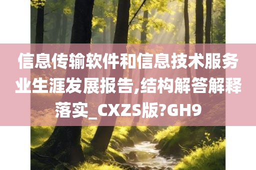 信息传输软件和信息技术服务业生涯发展报告,结构解答解释落实_CXZS版?GH9