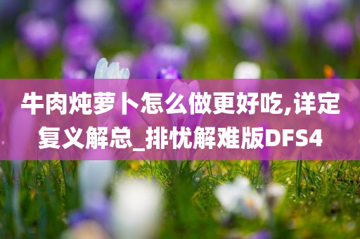 牛肉炖萝卜怎么做更好吃,详定复义解总_排忧解难版DFS4