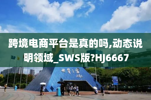 跨境电商平台是真的吗,动态说明领域_SWS版?HJ6667