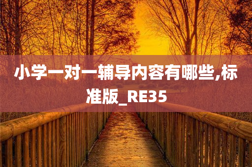 小学一对一辅导内容有哪些,标准版_RE35