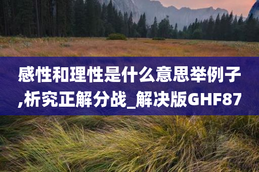 感性和理性是什么意思举例子,析究正解分战_解决版GHF87