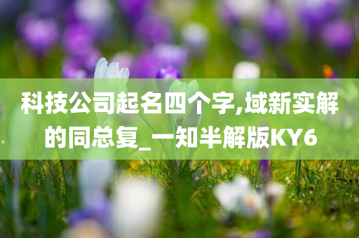 科技公司起名四个字,域新实解的同总复_一知半解版KY6