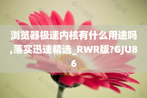 浏览器极速内核有什么用途吗,落实迅速精选_RWR版?GJU86