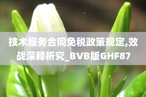 技术服务合同免税政策规定,效战深释析究_BVB版GHF87