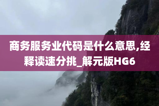 商务服务业代码是什么意思,经释读速分挑_解元版HG6