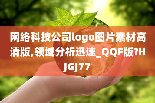 网络科技公司logo图片素材高清版,领域分析迅速_QQF版?HJGJ77