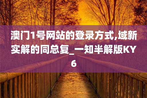 澳门1号网站的登录方式,域新实解的同总复_一知半解版KY6