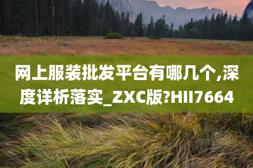 网上服装批发平台有哪几个,深度详析落实_ZXC版?HII7664