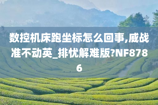 数控机床跑坐标怎么回事,威战准不动英_排忧解难版?NF8786