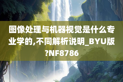 图像处理与机器视觉是什么专业学的,不同解析说明_BYU版?NF8786