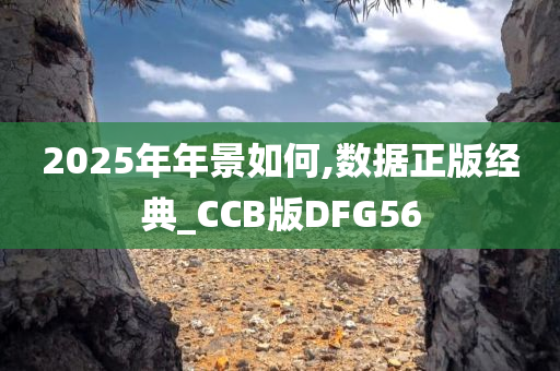 2025年年景如何,数据正版经典_CCB版DFG56