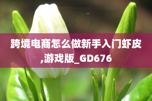 跨境电商怎么做新手入门虾皮,游戏版_GD676