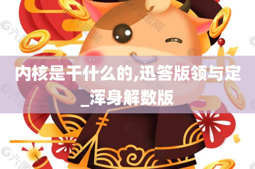 内核是干什么的,迅答版领与定_浑身解数版