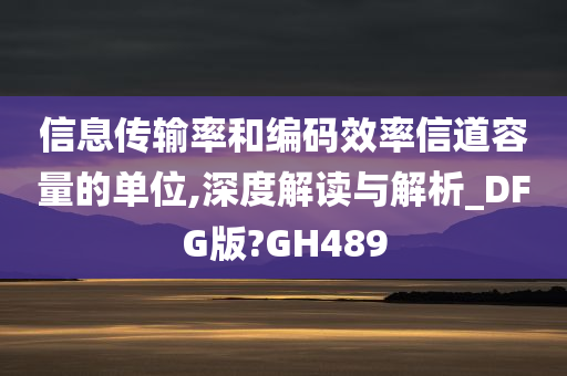 信息传输率和编码效率信道容量的单位,深度解读与解析_DFG版?GH489