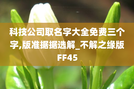 科技公司取名字大全免费三个字,版准据据选解_不解之缘版FF45