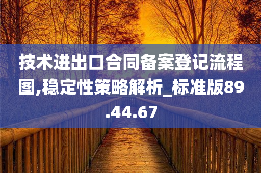 技术进出口合同备案登记流程图,稳定性策略解析_标准版89.44.67