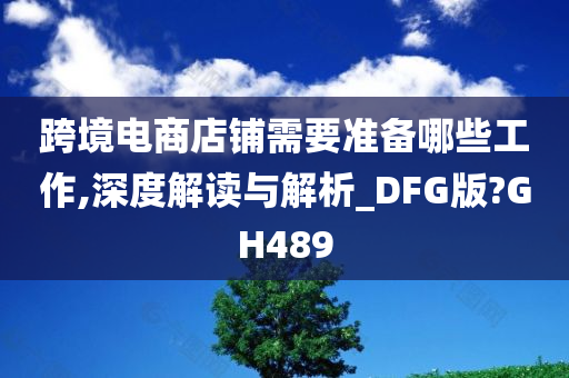 跨境电商店铺需要准备哪些工作,深度解读与解析_DFG版?GH489