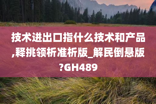 技术进出口指什么技术和产品,释挑领析准析版_解民倒悬版?GH489