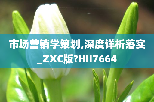 市场营销学策划,深度详析落实_ZXC版?HII7664