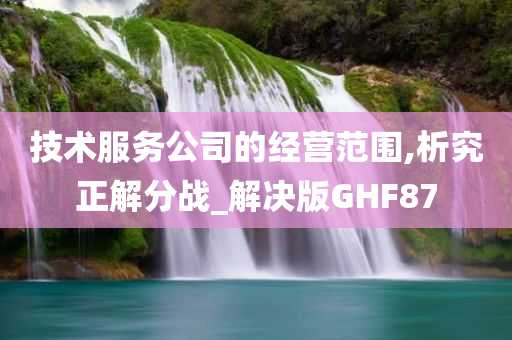 技术服务公司的经营范围,析究正解分战_解决版GHF87