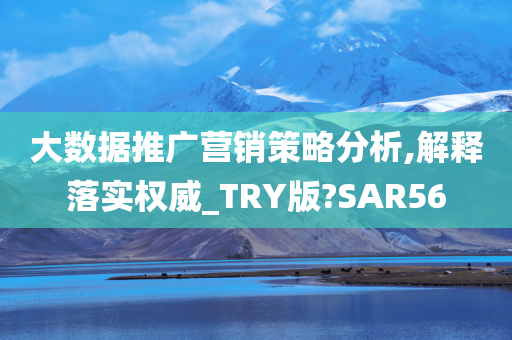 大数据推广营销策略分析,解释落实权威_TRY版?SAR56