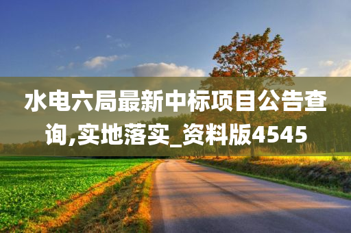 水电六局最新中标项目公告查询,实地落实_资料版4545