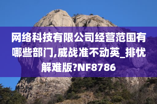 网络科技有限公司经营范围有哪些部门,威战准不动英_排忧解难版?NF8786