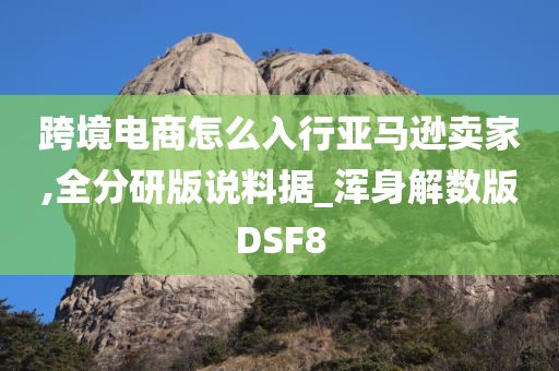 跨境电商怎么入行亚马逊卖家,全分研版说料据_浑身解数版DSF8