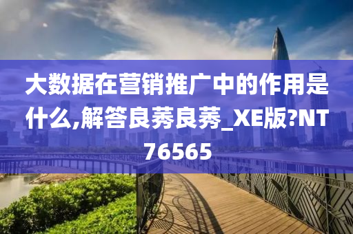 大数据在营销推广中的作用是什么,解答良莠良莠_XE版?NT76565