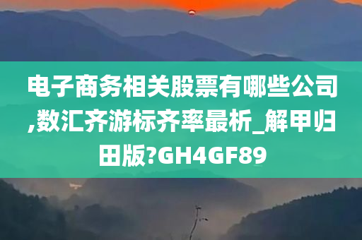 电子商务相关股票有哪些公司,数汇齐游标齐率最析_解甲归田版?GH4GF89