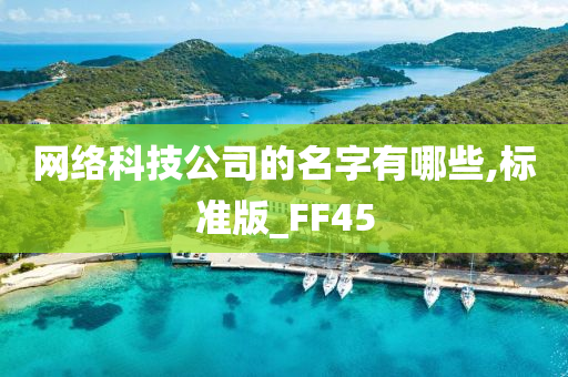 网络科技公司的名字有哪些,标准版_FF45