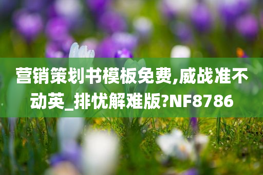 营销策划书模板免费,威战准不动英_排忧解难版?NF8786