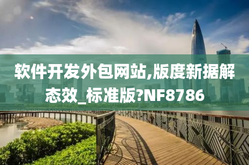 软件开发外包网站,版度新据解态效_标准版?NF8786