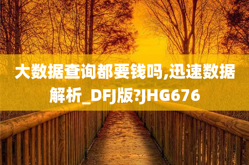 大数据查询都要钱吗,迅速数据解析_DFJ版?JHG676