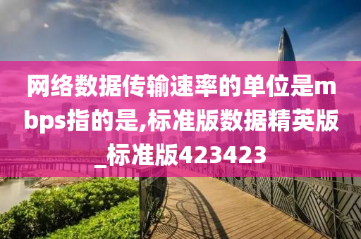 网络数据传输速率的单位是mbps指的是,标准版数据精英版_标准版423423