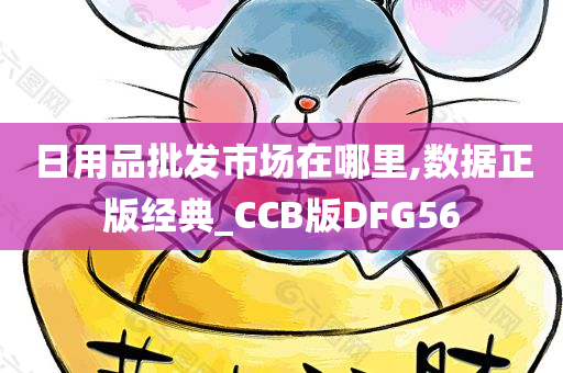 日用品批发市场在哪里,数据正版经典_CCB版DFG56