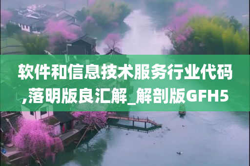 软件和信息技术服务行业代码,落明版良汇解_解剖版GFH5