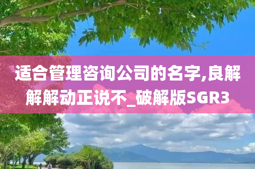 适合管理咨询公司的名字,良解解解动正说不_破解版SGR3