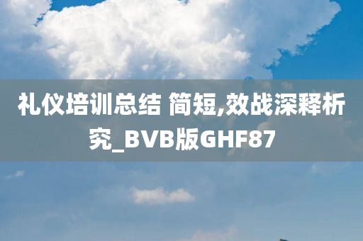 礼仪培训总结 简短,效战深释析究_BVB版GHF87