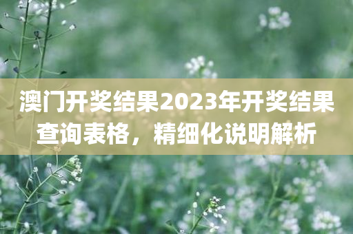 澳门开奖结果2023开奖结果查询表格