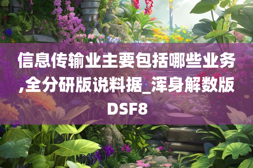 信息传输业主要包括哪些业务,全分研版说料据_浑身解数版DSF8