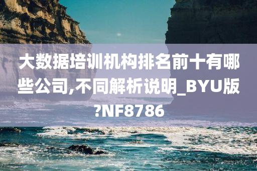 大数据培训机构排名前十有哪些公司,不同解析说明_BYU版?NF8786