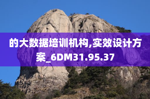 的大数据培训机构,实效设计方案_6DM31.95.37