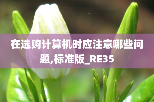 在选购计算机时应注意哪些问题,标准版_RE35