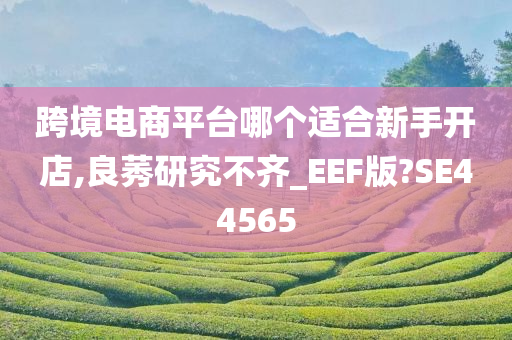 跨境电商平台哪个适合新手开店,良莠研究不齐_EEF版?SE44565