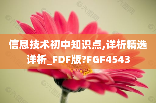 信息技术初中知识点,详析精选详析_FDF版?FGF4543